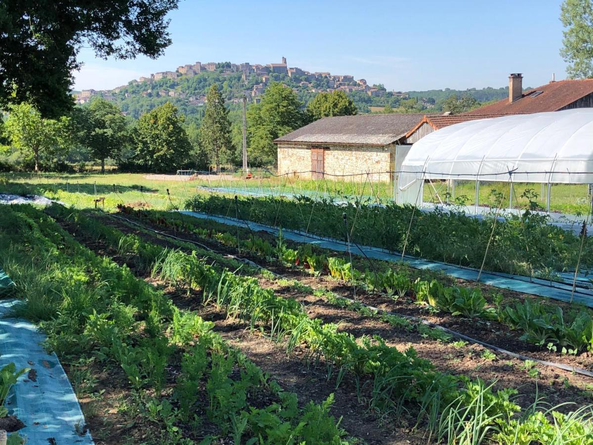 Gite A La Ferme De Verdurette Cordes-Sur-Ciel Exteriér fotografie