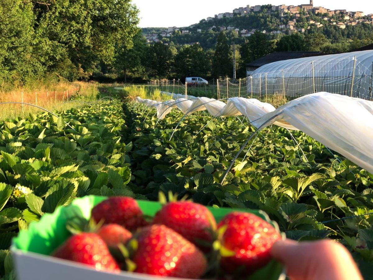 Gite A La Ferme De Verdurette Cordes-Sur-Ciel Exteriér fotografie