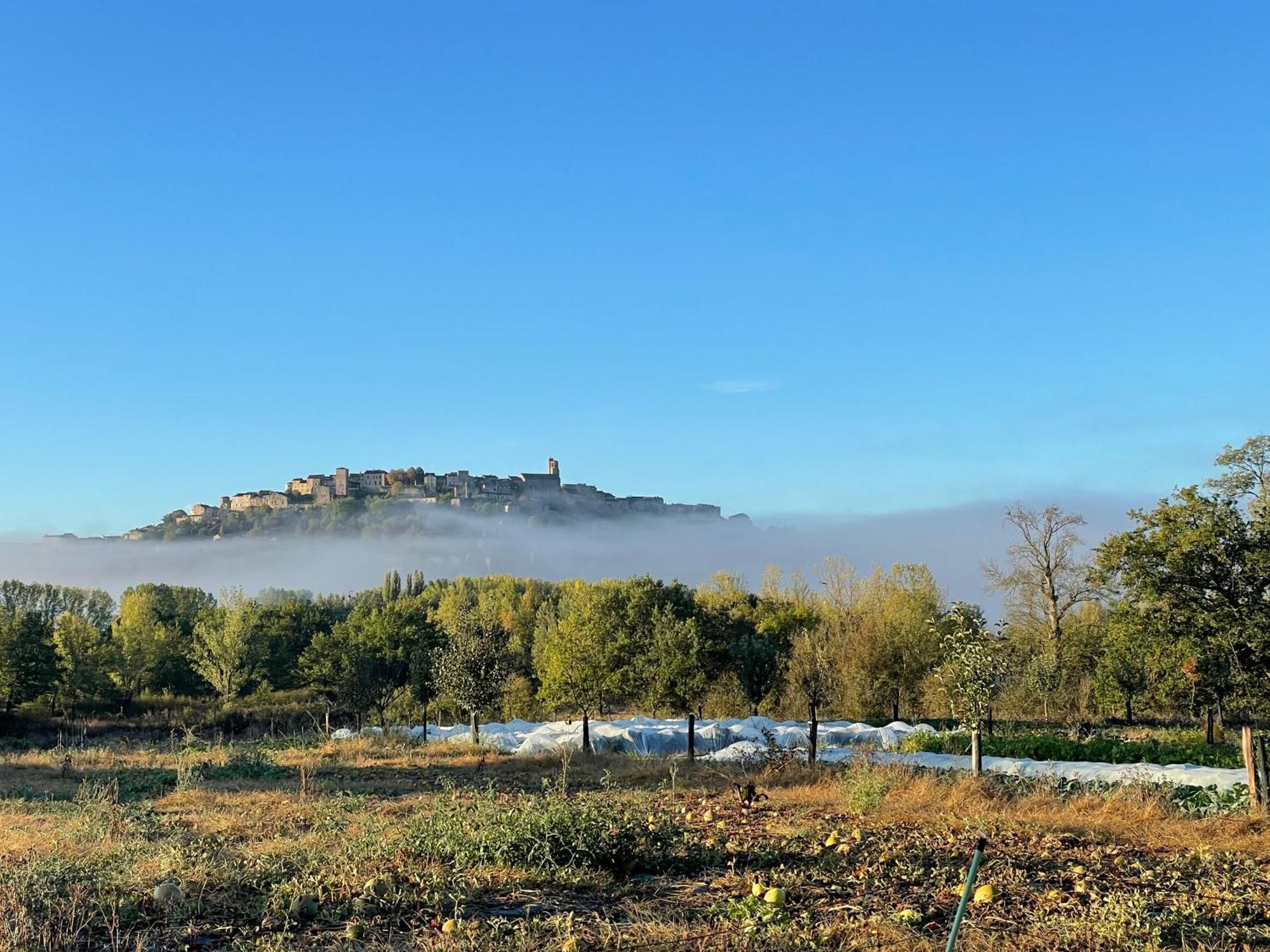 Gite A La Ferme De Verdurette Cordes-Sur-Ciel Exteriér fotografie
