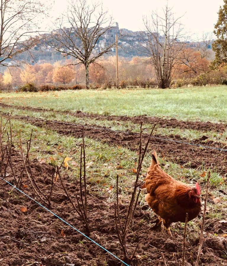 Gite A La Ferme De Verdurette Cordes-Sur-Ciel Exteriér fotografie